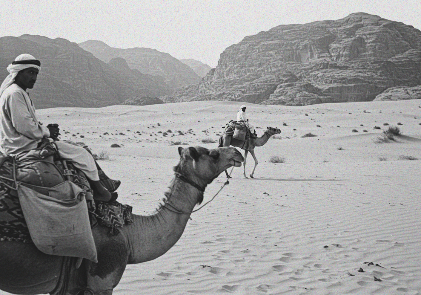 يوم التأسيس — 2